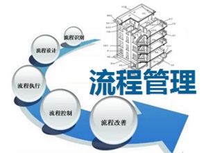 《房地產(chǎn)流程再造與計劃運(yùn)營管理》