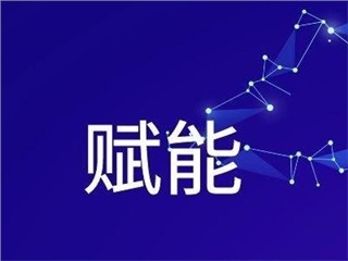 《高績效團(tuán)隊(duì)的關(guān)鍵能力提升及績效管理改善》